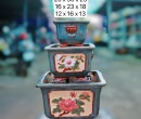 BỘ BA CHẬU VUÔNG HOA MẪU ĐƠN