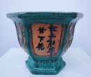 CHẬU LY XANH LÁ