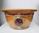 CHẬU CHỮ VÀNG NHỎ