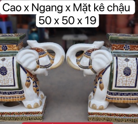 ĐÔN VOI CÓ ĐẾ 02