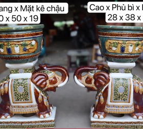COMBO ĐÔN VOI VÀ CHẬU TRÁI PHÁO (CHỮ PHƯỚC) VỪA