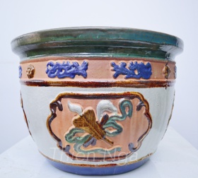 CHẬU TỨ BỬU TRẮNG