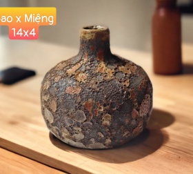 BÌNH MEN SÔI NHỎ TN06