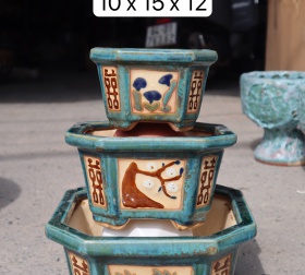 CHẬU BỘ 3 LỤC GIÁC MAI LAN CÚC TRÚC