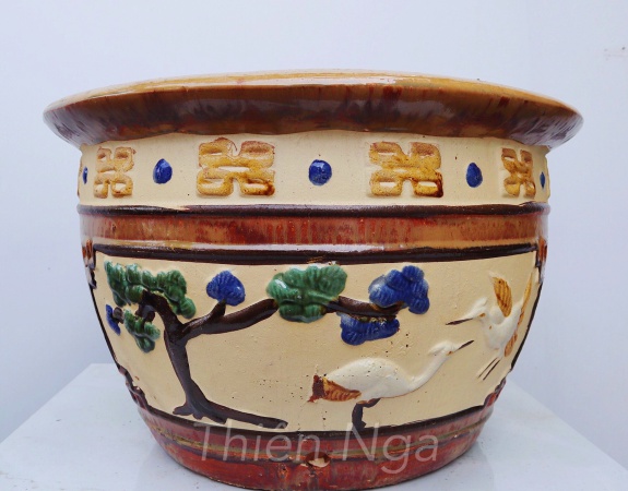 CHẬU CÒ CÁ VÀNG